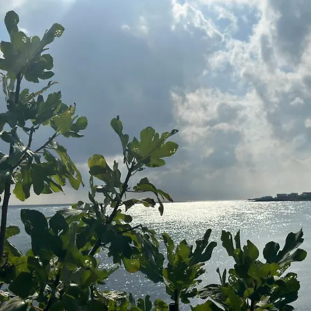 Seaside Oasis Lozenec