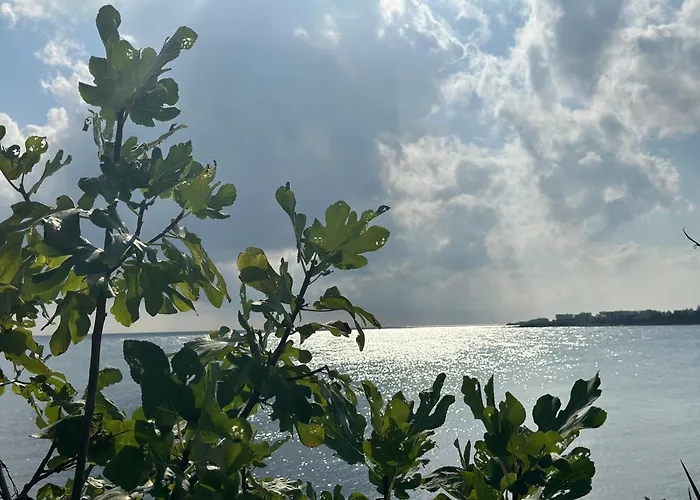 Seaside Oasis Лозенец